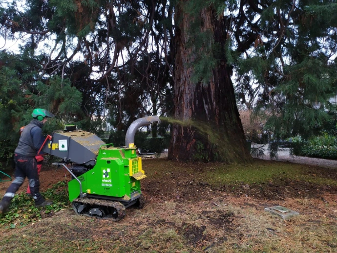 Gestion des déchets verts et revalorisation de la matière : broyage par Arbre & Co à Sion Arbre & Co réutilise les déchets de taille d'arbres pour protéger et nourrir le sol
