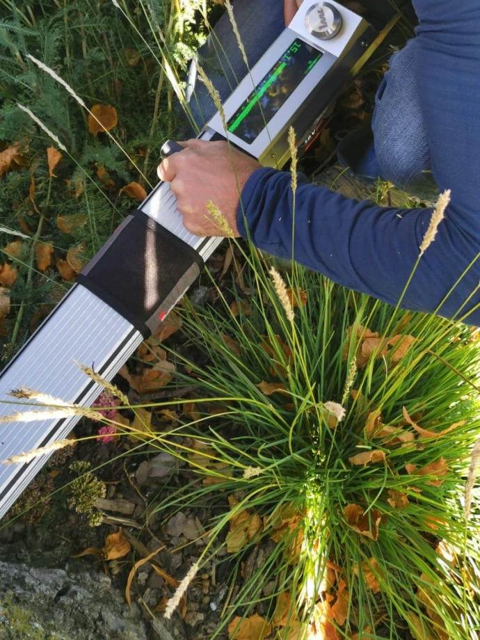 Analyse de la solidité d'un arbre avec un résistographe Utilisation d'un résistographe pour mesurer la densité du bois et détecter d'éventuelles cavités ou maladies internes