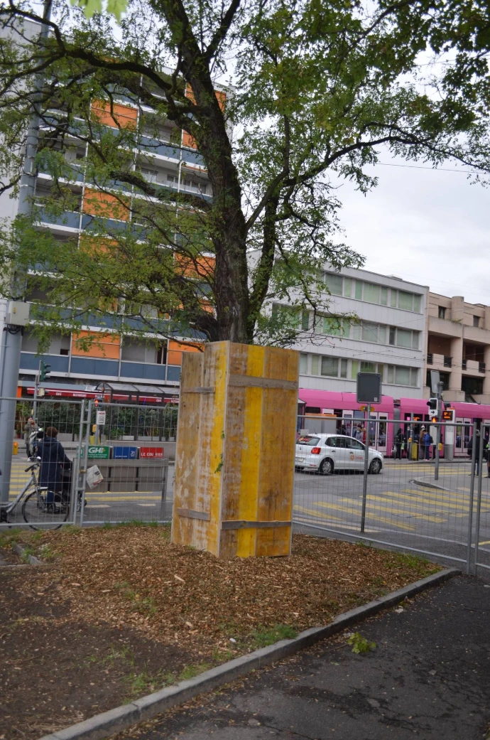 Protection d'arbres pendant des travaux de construction En temps qu'expert arboriste en Valais nous mettons en place des protection sur-mesures pour assurer la pérennité de vos arbres dans tous les environnements.