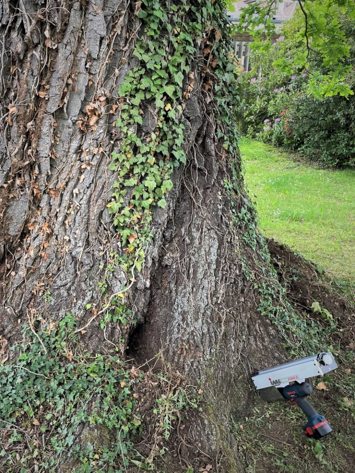 Expertise arboricole et diagnostique professionnel d'arbres en Valais Arbre & Co propose des services d'expertises d'arbres pour évaluer leur état mécanique et phytosanitaire