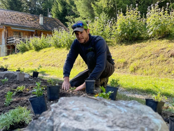 Rénovation de massif montagneux aux Mayens de Sion avec vivaces horticoles et indigènes Au cœur des Mayens de Sion, Arbre & Co a rénové un massif montagneux en alliant vivaces horticoles et plantes indigènes pour une floraison estivale éclatante. Conçu pour offrir une belle palette de couleurs pendant l'été, ce jardin nécessite peu d'entretien, parfait pour les propriétaires qui profitent de leur chalet. Un aménagement durable qui s’intègre harmonieusement dans le paysage montagnard.