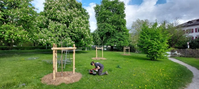 Plantation d'arbres fruitiers pour l'État du Valais à la Villa Riedmatten à Sion L’équipe de paysagistes d’Arbre & Co a réalisé la plantation d’arbres fruitiers pour l’État du Valais, à la Villa Riedmatten à Sion. Ce projet vise à valoriser l’espace extérieur tout en promouvant la biodiversité locale et la production durable de fruits en milieu urbain. Un aménagement qui allie esthétique, fonctionnalité et respect de l’environnement, en parfaite harmonie avec les paysages valaisans