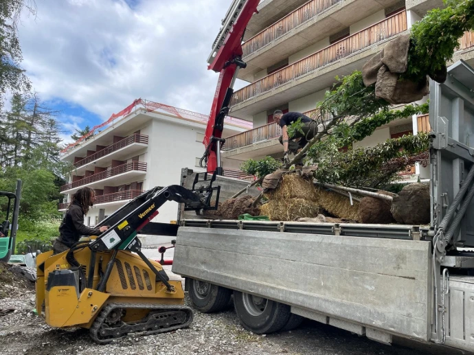 Livraison et déchargement d'arbres à Crans-Montana pour plantation Les arbres destinés à la plantation à Crans-Montana ont été livrés par notre partenaire Favre et Studer. Le déchargement a été effectué à l'aide d'une chargeuse à chenilles, garantissant une manipulation sécurisée et efficace. Ce processus fait partie de notre engagement à offrir des services paysagers de qualité en Valais, en travaillant en collaboration avec des partenaires locaux pour un aménagement durable.