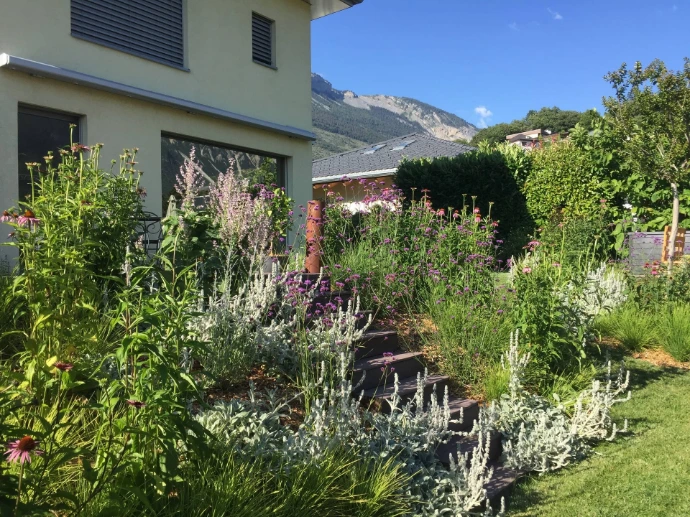 Entretien de jardin à Miège : taille des arbustes et fertilisation des vivaces À Miège, l’équipe d’Arbre & Co a effectué l'entretien d'un jardin comprenant la taille des arbustes et la fertilisation des vivaces pour assurer leur croissance optimale. Ce soin régulier garantit la santé et la beauté des plantes tout au long de l'année, tout en favorisant une gestion écologique et durable des espaces extérieurs en Valais.