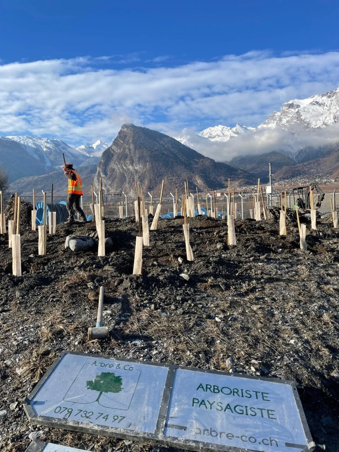 Renaturalisation à la sous-station de Chamoson avec plantation d'arbustes indigènes Dans le cadre d'un projet de renaturalisation à la sous-station électrique de Chamoson, exploitée par Swissgrid, des arbustes indigènes ont été plantés en plant forestier pour restaurer et valoriser la biodiversité locale. Ce projet vise à améliorer l'écosystème environnant tout en respectant les contraintes liées à la zone industrielle, favorisant ainsi la réintroduction de la végétation indigène et contribuant à la durabilité environnementale de la région. Le projet a été conçu par Pronat.