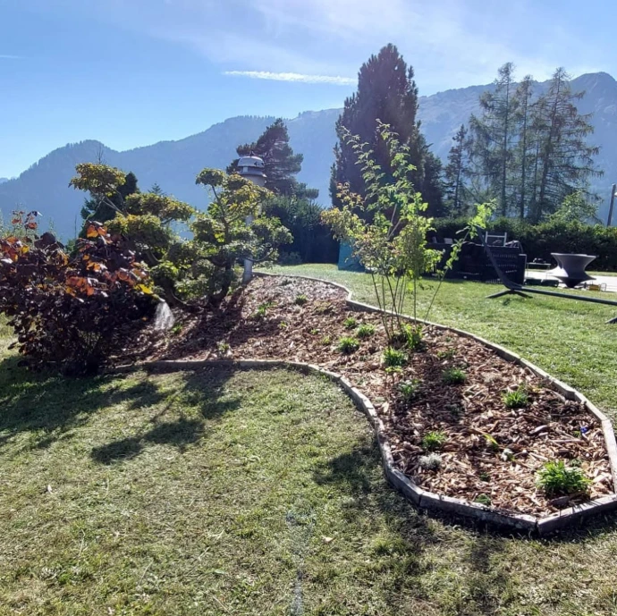 Massif de plantes indigènes fleuries aux Mayens de Chamoson - Ovronnaz Ce massif de plantes indigènes fleuries, situé aux Mayens de Chamoson près d'Ovronnaz, met en valeur la biodiversité locale tout en offrant une palette de couleurs naturelles. Adaptées aux conditions montagnardes, ces plantes sont une solution durable pour l’aménagement paysager, favorisant la flore indigène tout en embelli le paysage.