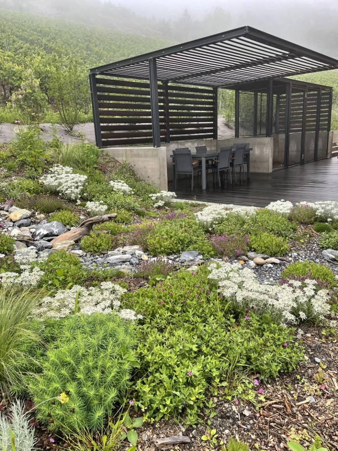 Rivière sèche avec plantes de rocaille et indigènes à Miège, devant une terrasse À Miège, une rivière sèche a été aménagée avec des plantes de rocaille et indigènes, telles que l'edelweiss, créant une scénographie naturelle devant la terrasse d'une maison. Ce projet paysager, sans arrosage, valorise les plantes résistantes et adaptées au climat local, tout en apportant une touche esthétique et durable à l’extérieur.